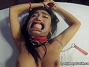 Show Me Your Pearly Whites - LadyboyVice